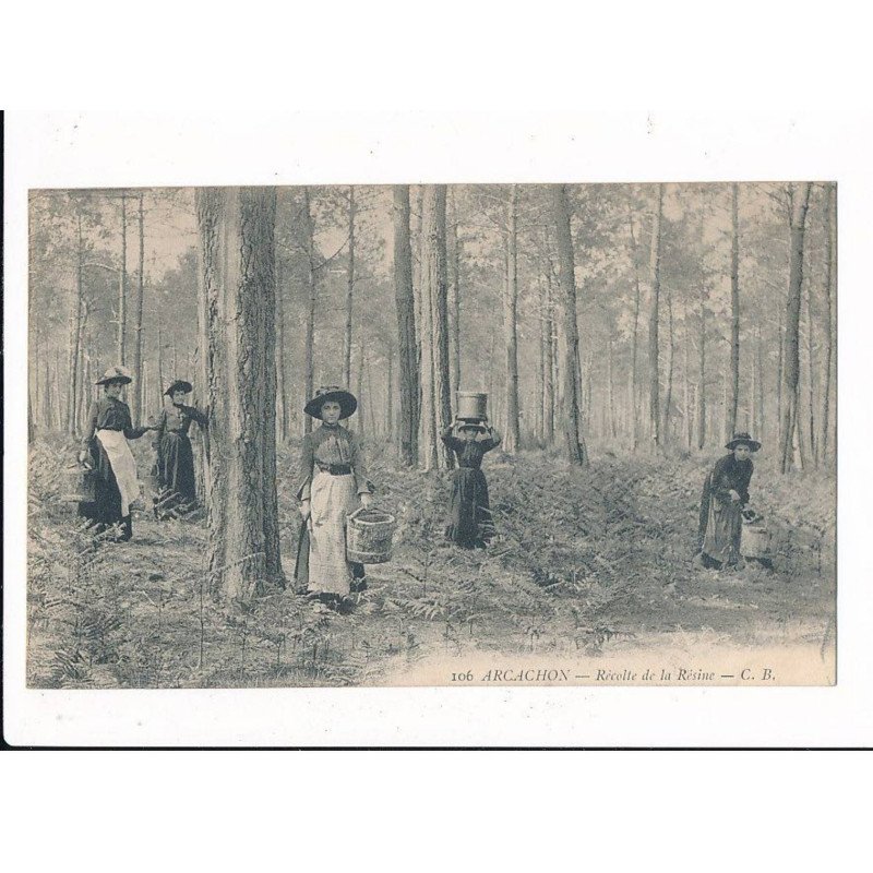 ARCACHON: récolte de la résine - très bon état