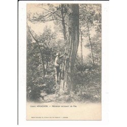 ARCACHON: résinier incisant un pin - état