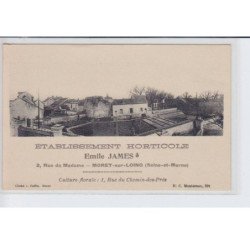 MORET-sur-LOING: établissement horticole, emile james 2 rue de madame - très bon état