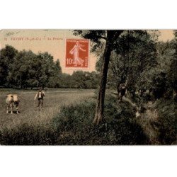 JUVISY: la prairie - état