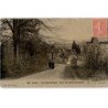 JUVISY: vue panoramique parc des belles-fontaines - état