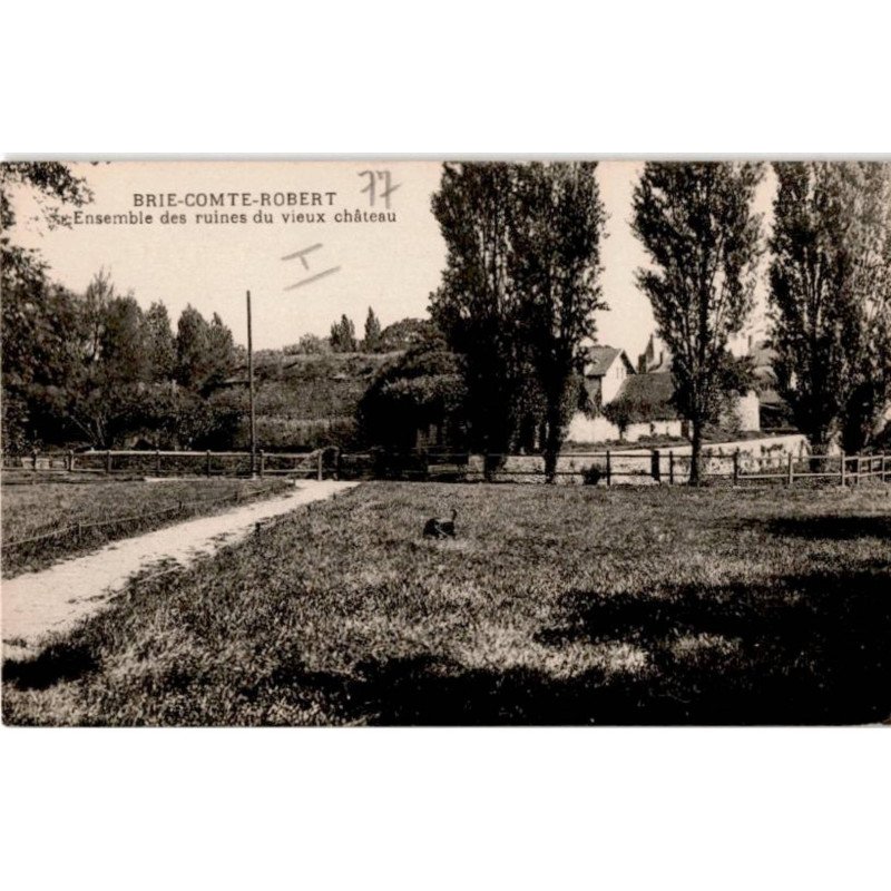 BRIE-COMTE-ROBERT: ensemble des ruines du vieux château - très bon état