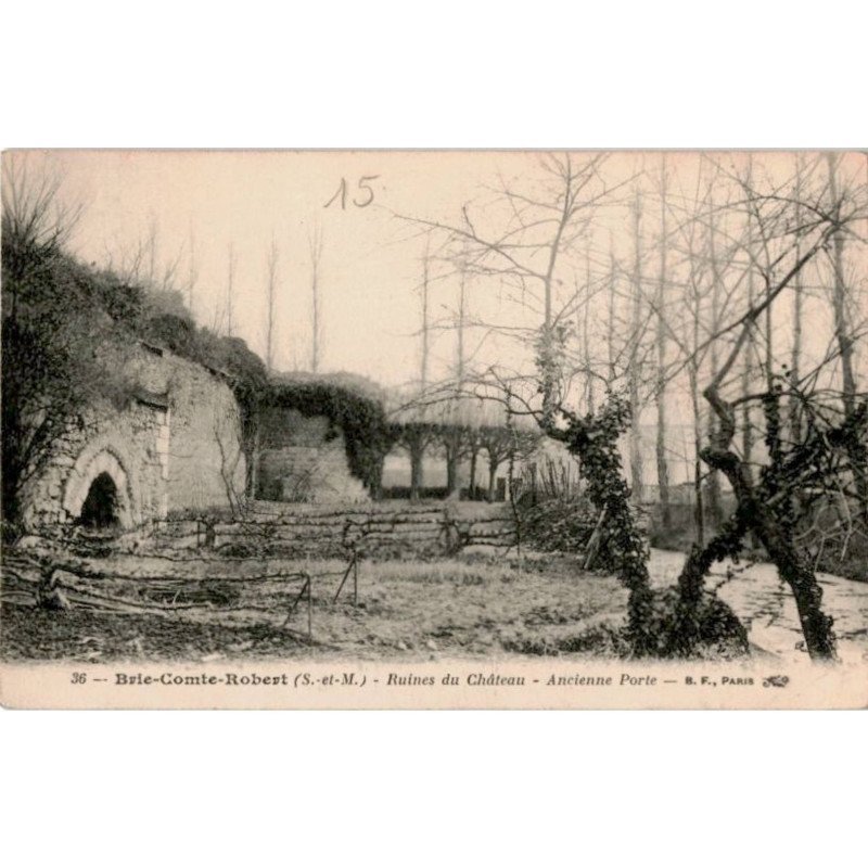 BRIE-COMTE-ROBERT: ruines du château, ancienne porte - très bon état