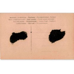 COMPOSITEUR - spectacle et musique: Anton Rubinstein - état