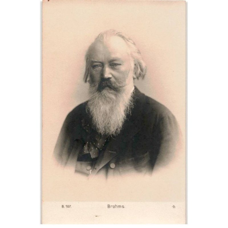 COMPOSITEUR - spectacle et musique: Brahms - très bon état