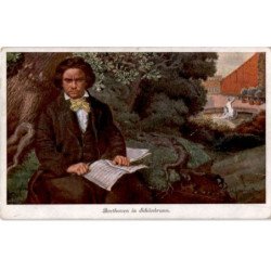 COMPOSITEUR - spectacle et musique: Beethoven in Schônbrunn - très bon état