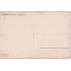 COMPOSITEUR - spectacle et musique: J. Brahms mélodies hongroises - très bon état