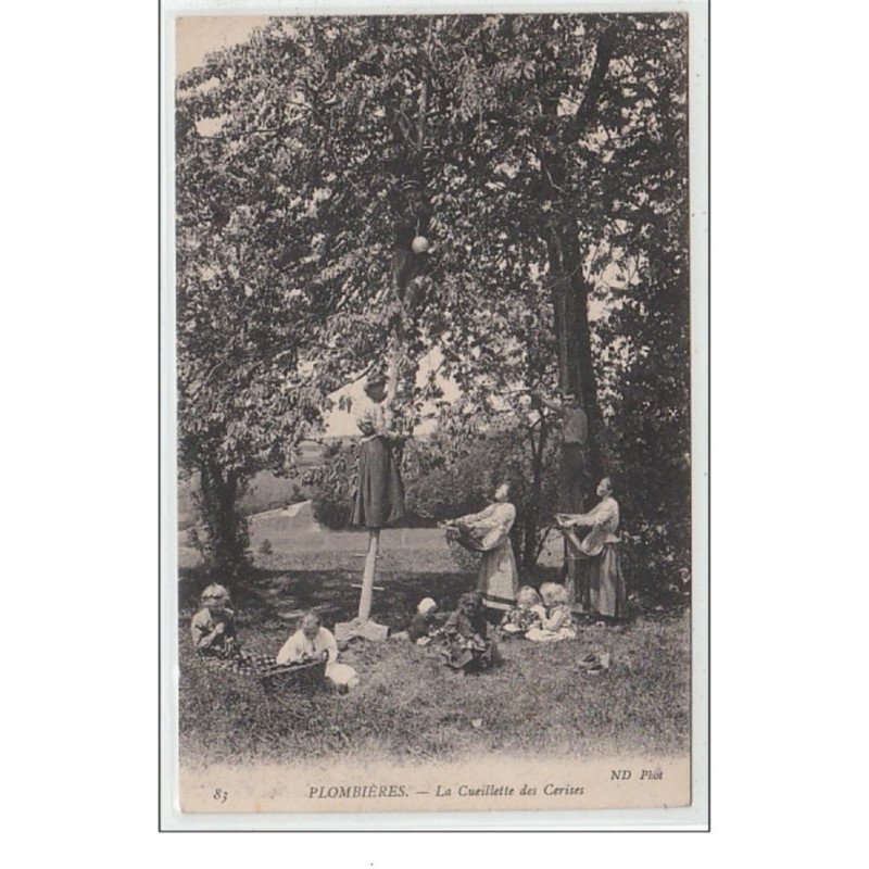 PLOMBIERES : la cueillete des cerises - Très bon état