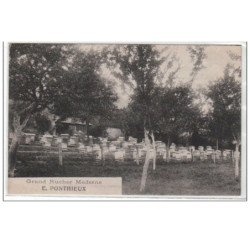 LEUZE MARTIGNY : grand rucher moderne, E. Ponthieux - Très bon état