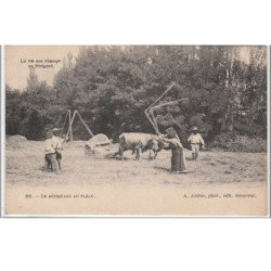 EN PERIGORD : le dépiquage au fléau - très bon état