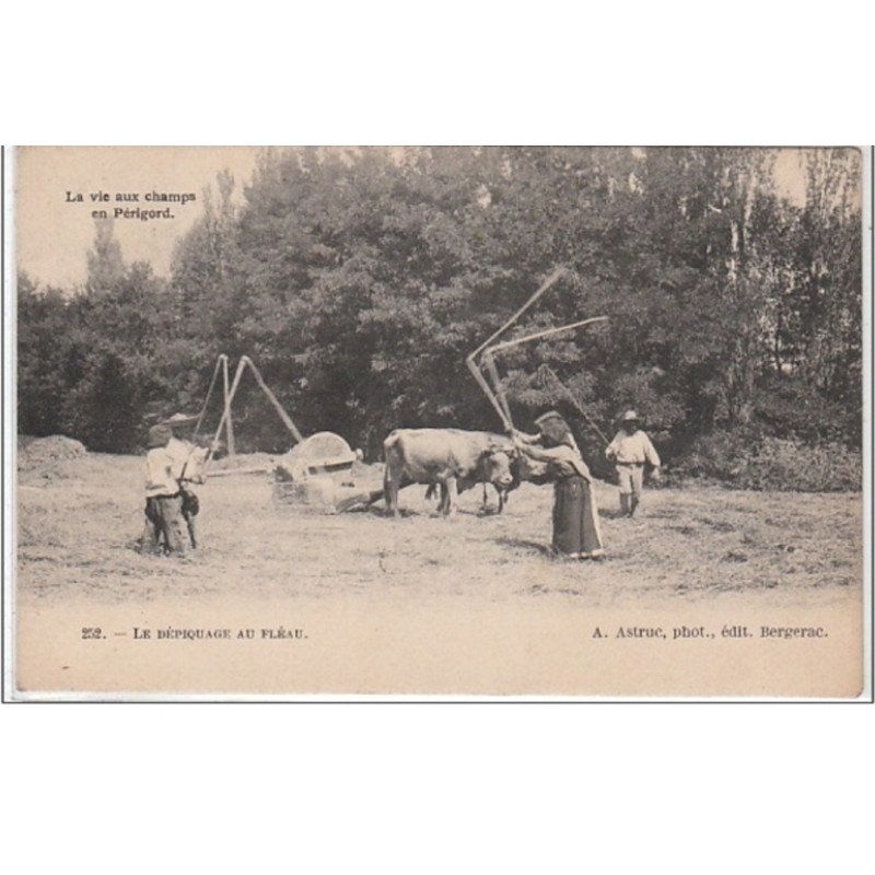 EN PERIGORD : le dépiquage au fléau - très bon état