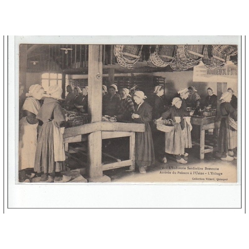 L'Industrie Sardinière Bretonne : l'arrivée du poisson à l'usine - très bon état