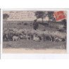 GIGNAC: moutons au pâturage - très bon état