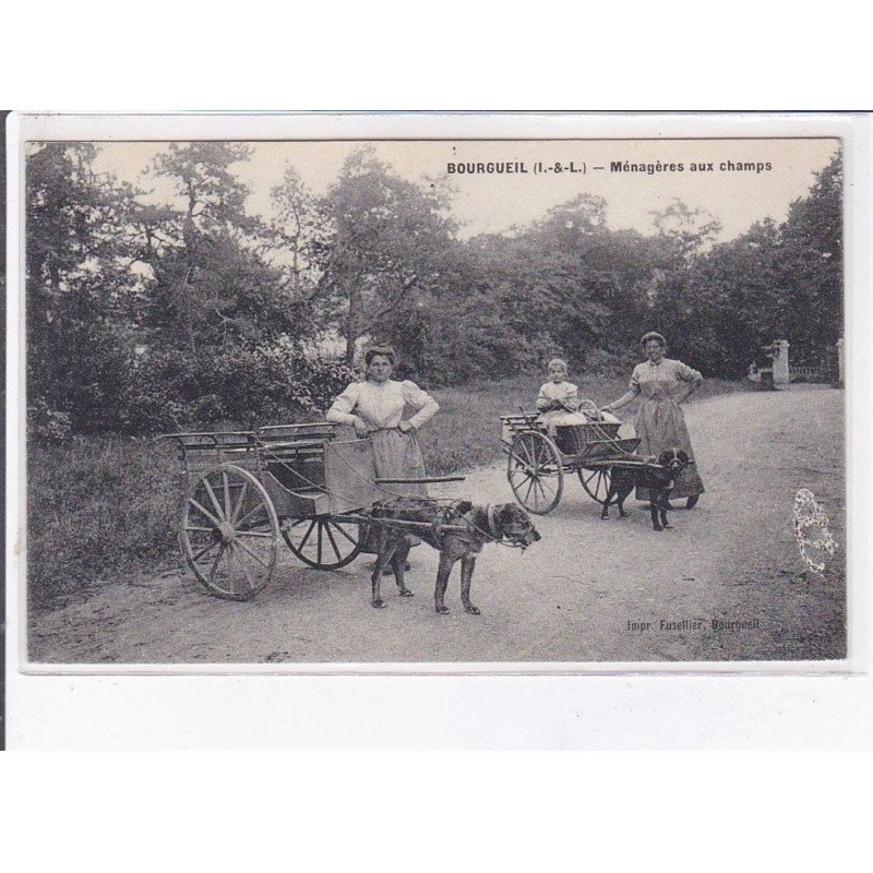 BOURGUEIL: ménagères aux champs, voitures à chiens - très bon état