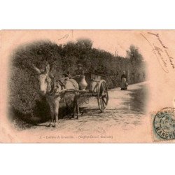 GRANVILLE: laitière de granville, attelage âne - très bon état
