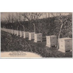 LAMONZIE SAINT MARTIN : ruchers modernes LALANNE, apiculteur - très bon état