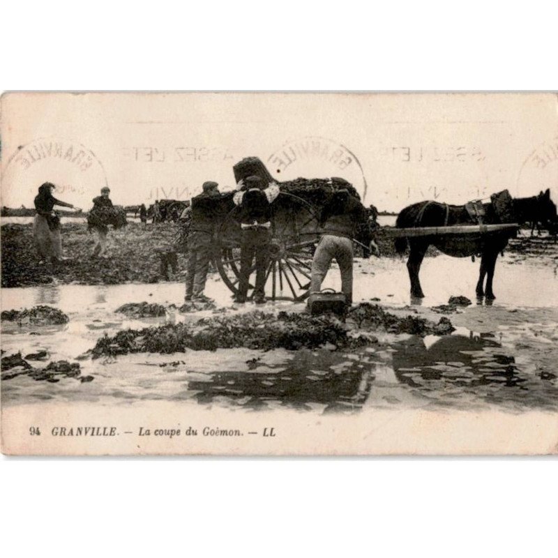 GRANVILLE: la coupe de goêmon - très bon état