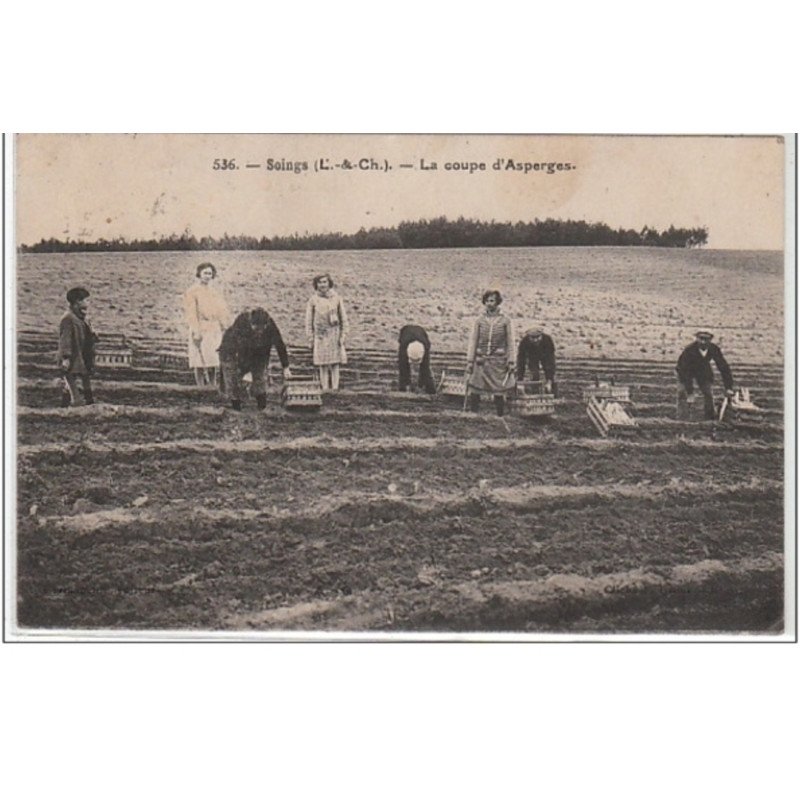 SOINGS : la coupe des asperges - très bon état