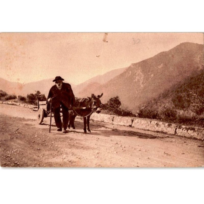 CORSE: BONIFACIO: type de vieux bonifacien avec son attelage - très bon état