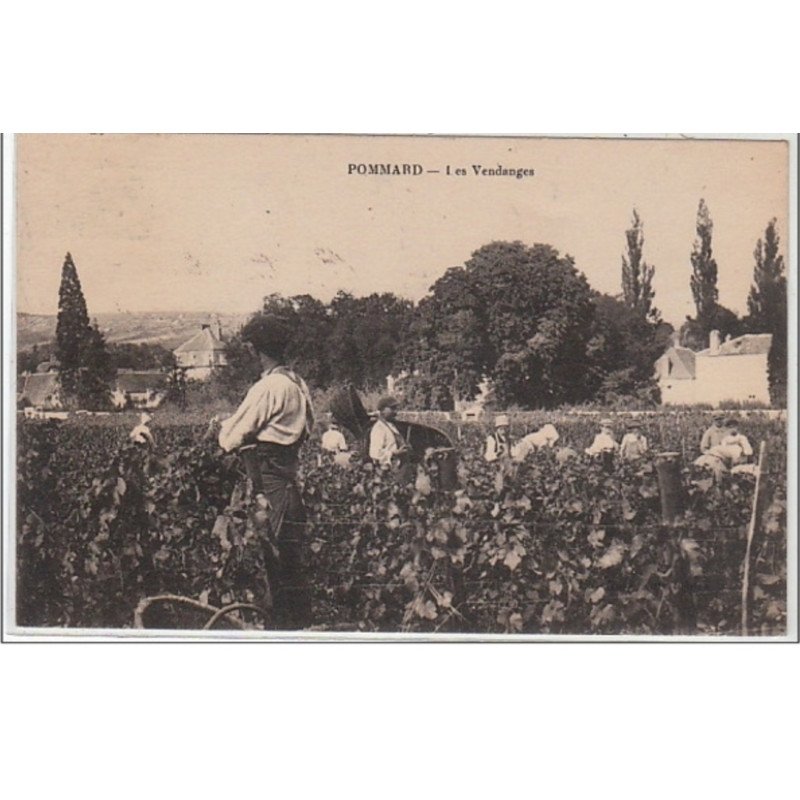 POMMARD : les vendanges - très bon état