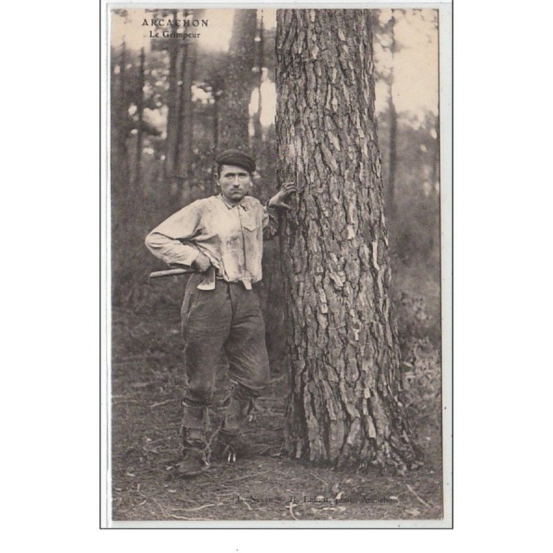 ARCACHON : les résiniers - le grimpeur - très bon état