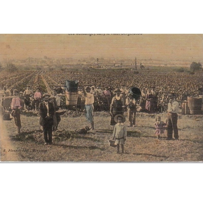 Les vendanges dans le Haut-Bergeracois vers 1910 - bon état (traces au dos)