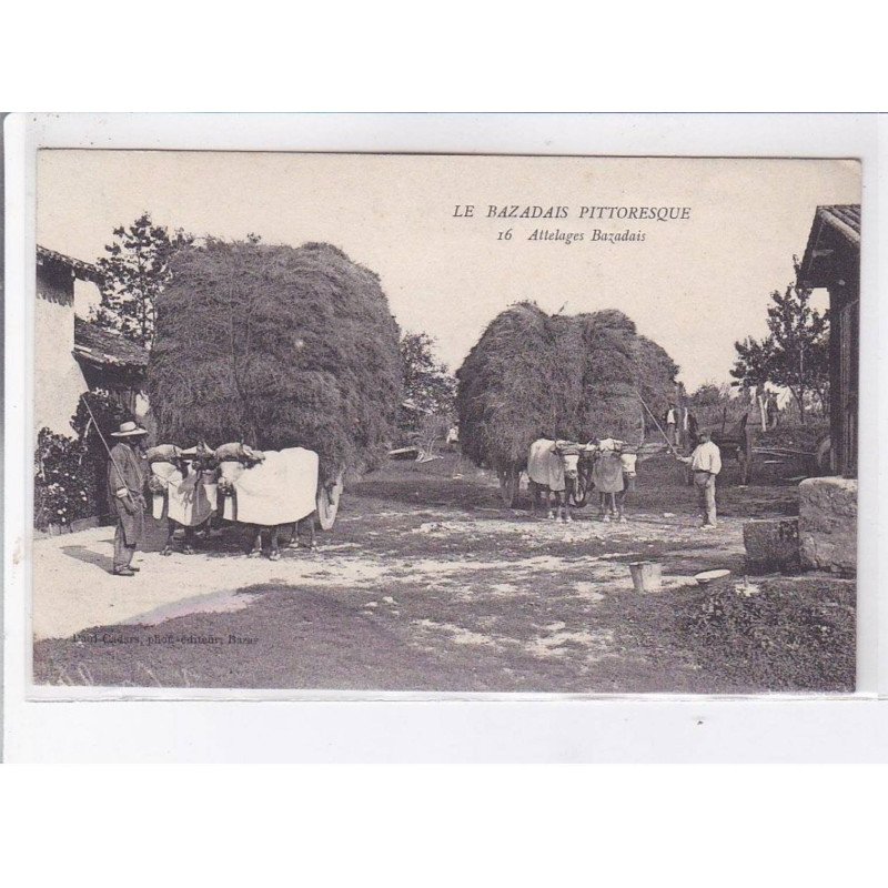 LE BAZADAIS: attelage bazadais, fenaisons - état