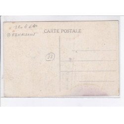 LE BAZADAIS: attelage bazadais, fenaisons - état