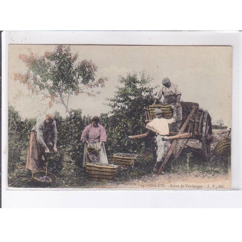 COTE-D'OR: scène de vendanges - très bon état