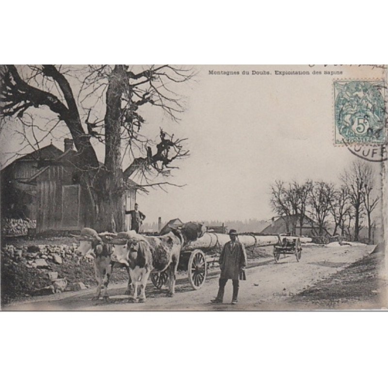 MONTAGNES DU DOUBS : l'exploitation des sapins vers 1900 - très bon état