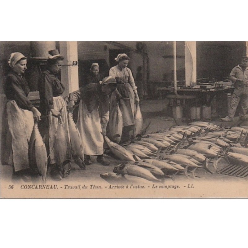 CONCARNEAU : le travail du thon - le comptage à l'usine vers 1910 - très bon état CONCARNEAU : le travail du thon - le comptage à l'usine vers 1910 - très bon état