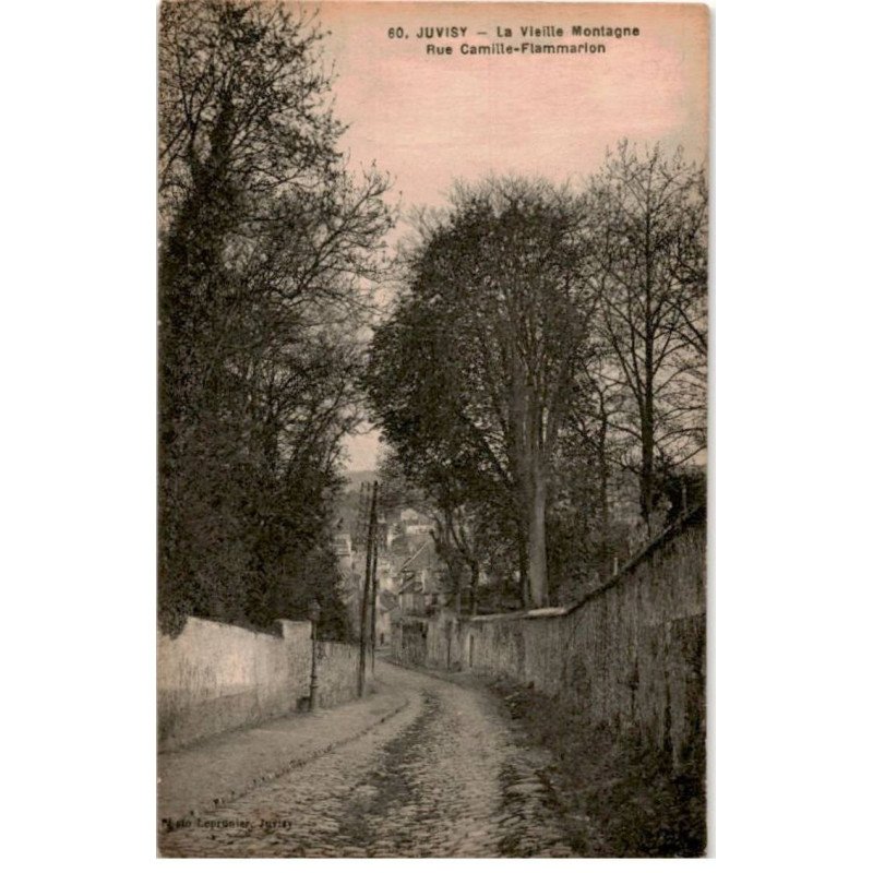 JUVISY-sur-ORGE: la vieille montagne, rue camille-flammarion - très bon état