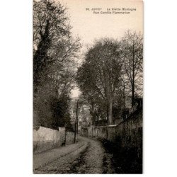 JUVISY-sur-ORGE: la vieille montagne rue camille flammarion - très bon état
