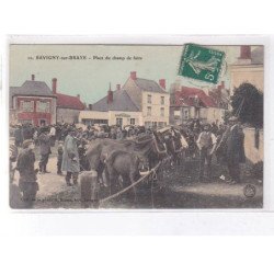 SAVIGNY-sur-BRAYE: place du champ de foire - état