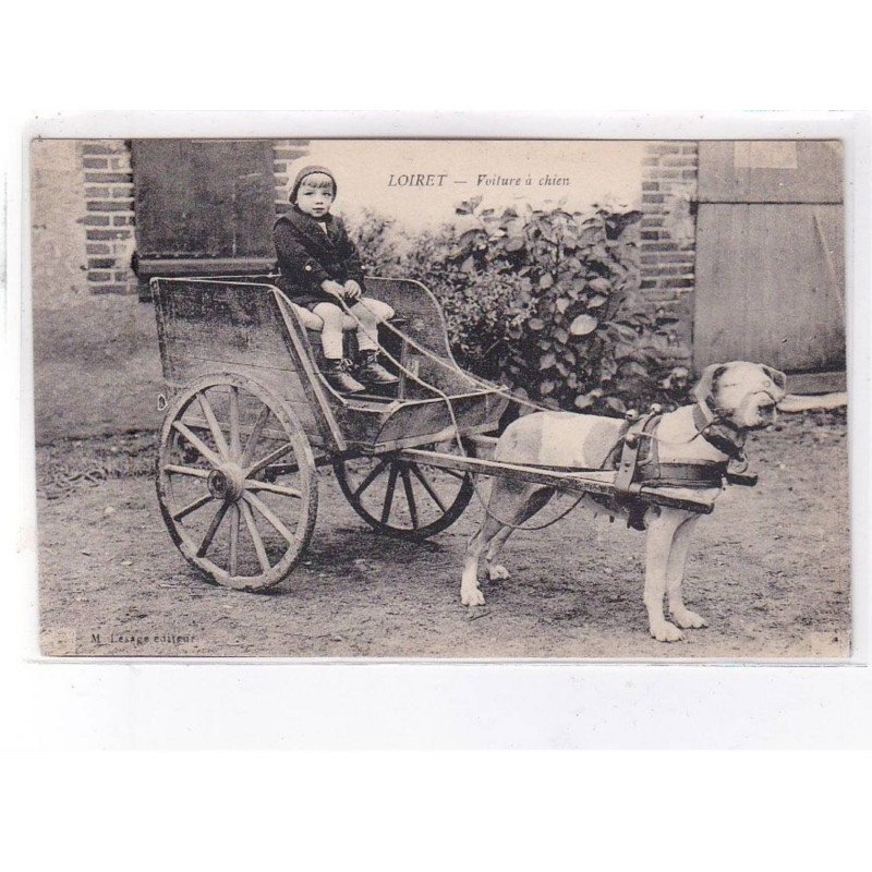 LOIRET: voiture à chien - très bon état