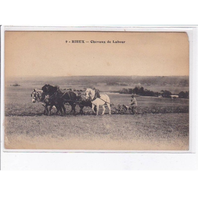 RIEUX: chevaux de labour - état