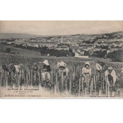 Au pays du Champagne : le travail de la vigne vers 1910 - très bon état