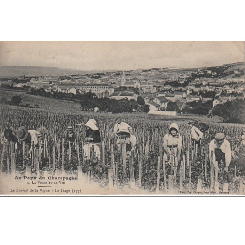 Au pays du Champagne : le travail de la vigne vers 1910 - très bon état