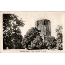 CHATILLON-COLIGNY: la tour du château - très bon état