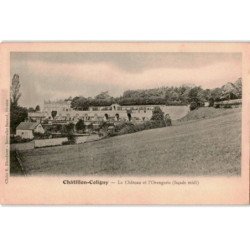 CHATILLON-COLIGNY: le château et l'orangerie (façade midi) - très bon état