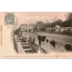 CHATILLON-COLIGNY: château, galerie du XVIIe siècle, magnifique terrasse, restes d'un château des sires de coligny