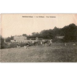 CHATILLON-COLIGNY: le château, vue générale - très bon état