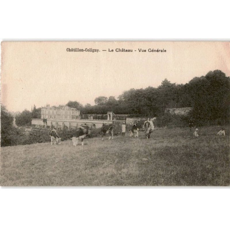 CHATILLON-COLIGNY: le château, vue générale - très bon état