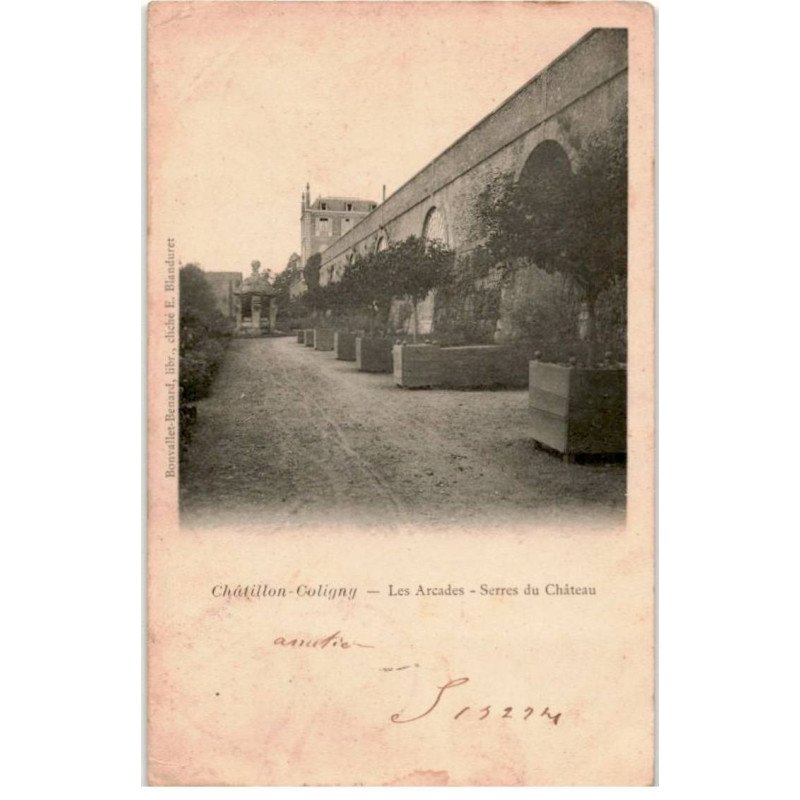 CHATILLON-COLIGNY: les arcades, serres du château - état