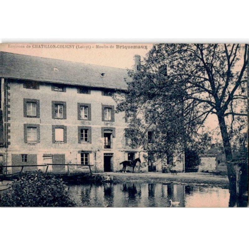 CHATILLON-COLIGNY: moulin de briquemaux - très bon état