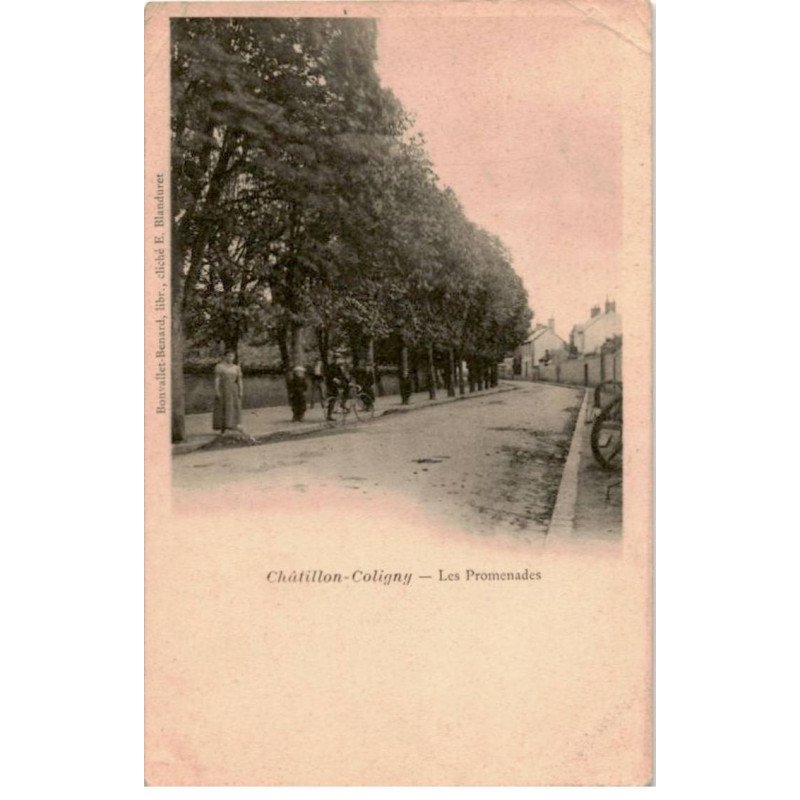 CHATILLON-COLIGNY: les promenades - état
