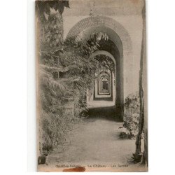 CHATILLON-COLIGNY: le château, les serres - très bon état