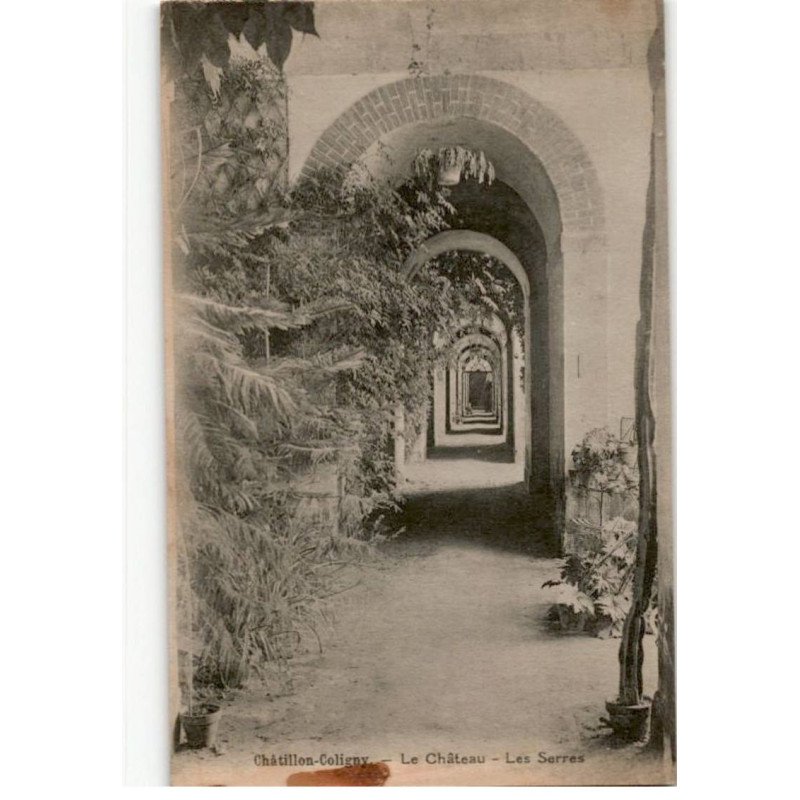 CHATILLON-COLIGNY: le château, les serres - très bon état