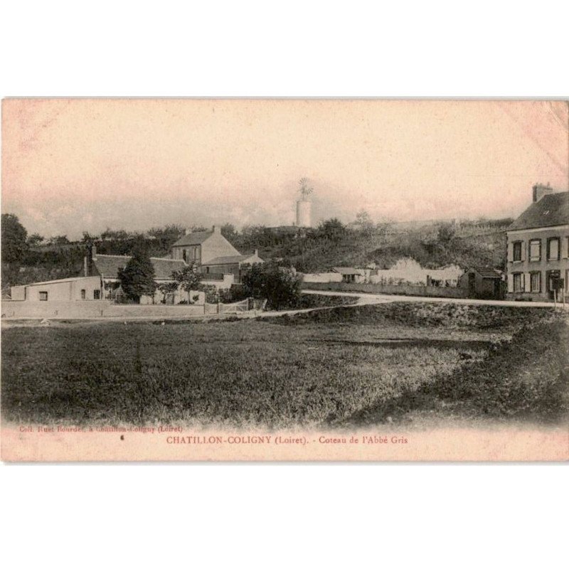 CHATILLON-COLIGNY: coteau de l'abbé gris - état