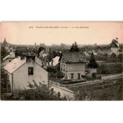 CHATILLON-COLIGNY: la vue générale - état